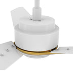 CALEN 52 inch 3-Blade Smart Ceiling Fan with LED Light & Remote