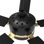 APPLETON 52 inch 5-Blade Smart Ceiling Fan with LED Light & Remote