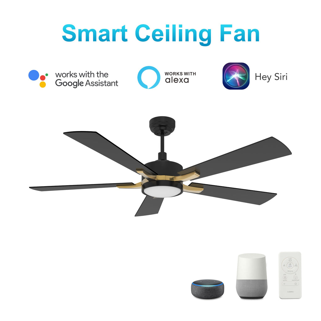 APPLETON 52 inch 5-Blade Smart Ceiling Fan with LED Light & Remote
