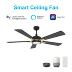 APPLETON 52 inch 5-Blade Smart Ceiling Fan with LED Light & Remote