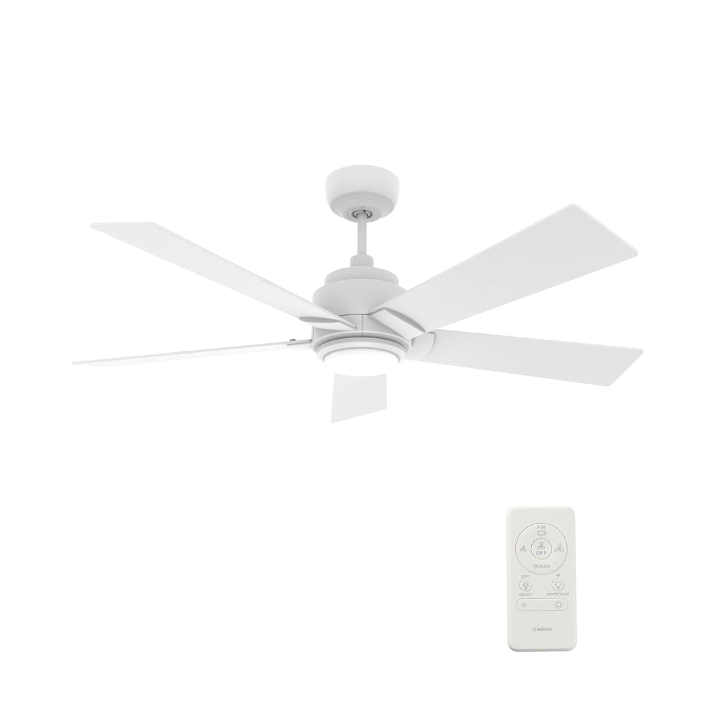ASCENDER 48 inch (5-Blade) Replacement Blades