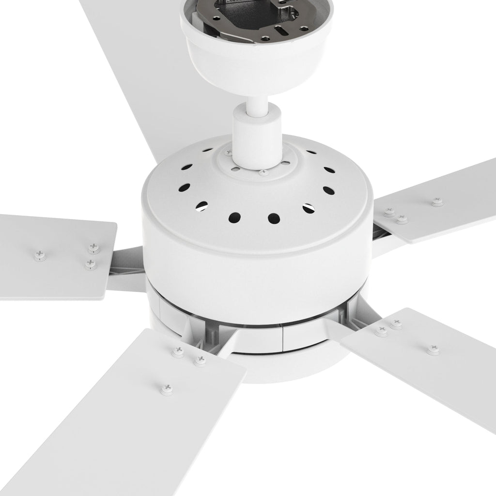 APPLETON 52 inch 5-Blade Smart Ceiling Fan with LED Light & Remote