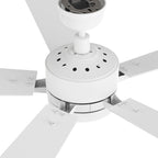 APPLETON 52 inch 5-Blade Smart Ceiling Fan with LED Light & Remote