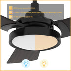 BRISA 52 inch 3-Blade Smart Ceiling Fan with LED Light & Remote