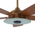 JOURNEY 56 inch 5-Blade Smart Ceiling Fan with LED Light & Remote