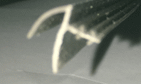 SP15487 - Casement Weather Strip Hinged Side