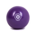 Merrithew Toning Ball