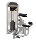 GymGear Dual Series – Ab / Low Back