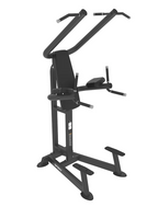 Spirit Chin Dip/Leg Raise