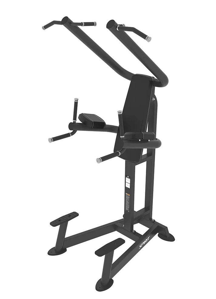 Spirit Chin Dip/Leg Raise
