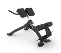 Spirit Back Extension Bench