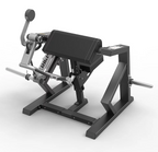 Spirit Biceps Curl