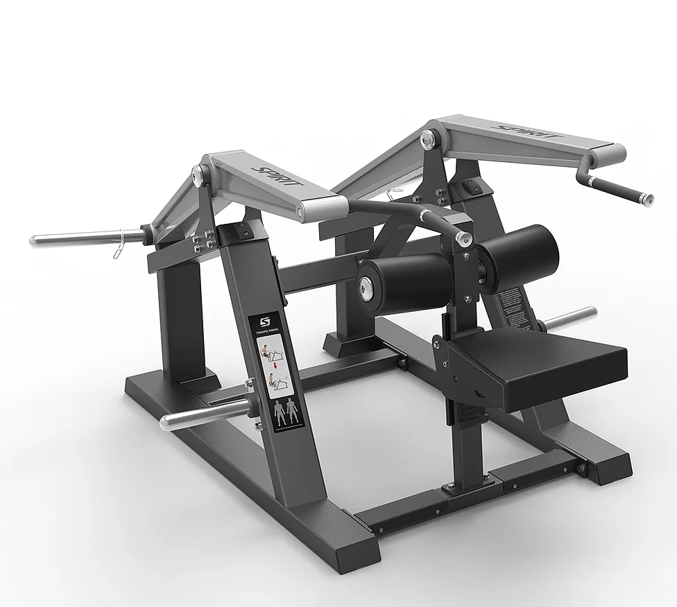 Spirit Triceps Extension