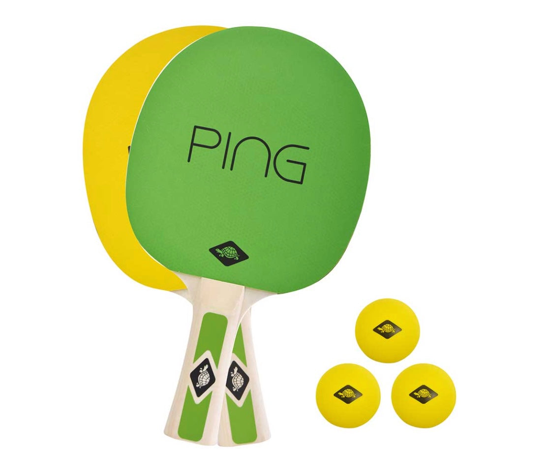 Donic-Schildkroet Ping Pong Set