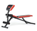 York Warrior 2 in 1 Dumbbell & Ab Bench with Curl