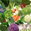 Seed Kit - Autumn / Winter Vegetables and Herbs 20 Variety's.