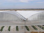 Solarig Classic 156 Woven Plastic Greenhouse Cover/Film