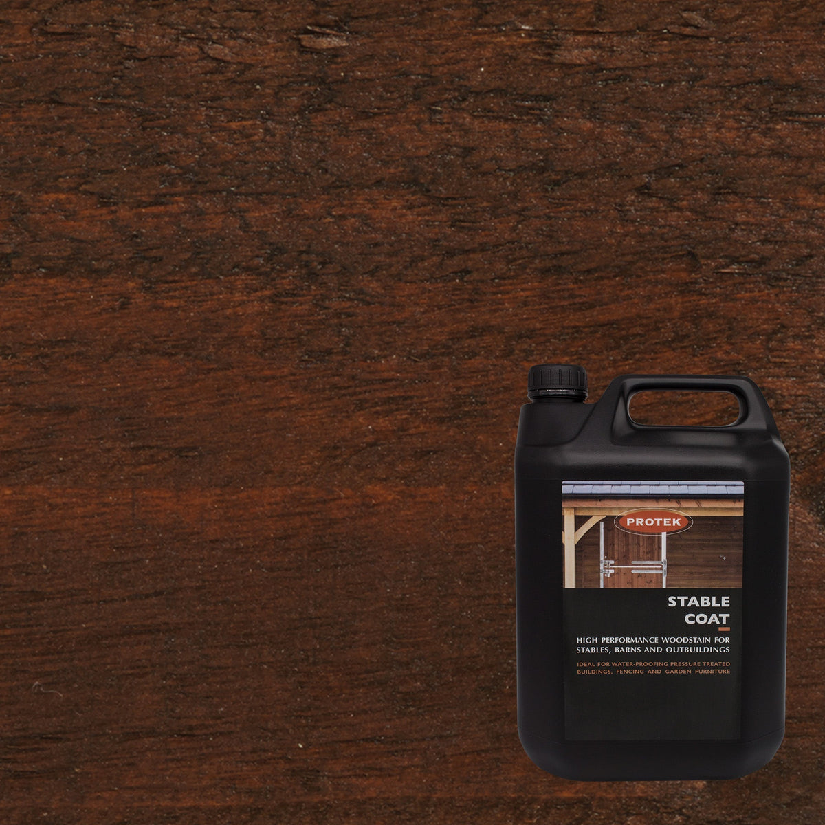 Golden Brown - Stable Coat Paint