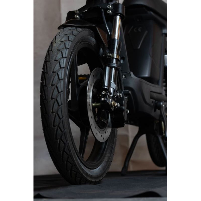 Eskuta SX-250 Series IV Moped Style EAPC Electric Bike 2023