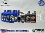 Yamaha Yamalube Standard Marine Gear Pump Service Kit for 2005-2024 F250A