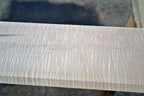 Tiger Stripe White Maple Board | AAA+ Figure 4 Sides