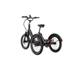 XP Trike2 Tempest Grey eTrike [CA]