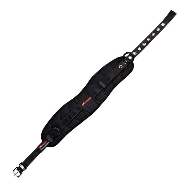 Kapture - Padded Waist Belt - 2 Work Positioning Side D-Rings - Removable Tool Belt