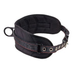Kapture - Padded Waist Belt - 1 Rear Restraint D-Ring - Removable Tool Belt