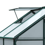 6' x 4' x 6.6' Polycarbonate Greenhouse with Aluminum Frame, Green