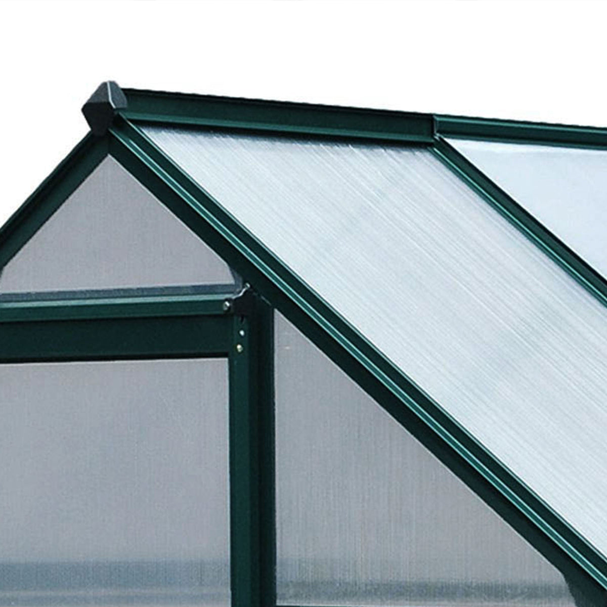 6' x 4' x 6.6' Polycarbonate Greenhouse with Aluminum Frame, Green