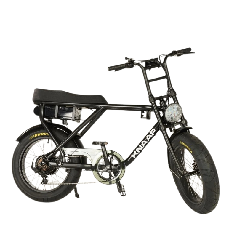 Knaap Bikes 2 Seater Fat Tyre Electric Bike