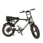 Knaap Bikes 2 Seater Fat Tyre Electric Bike