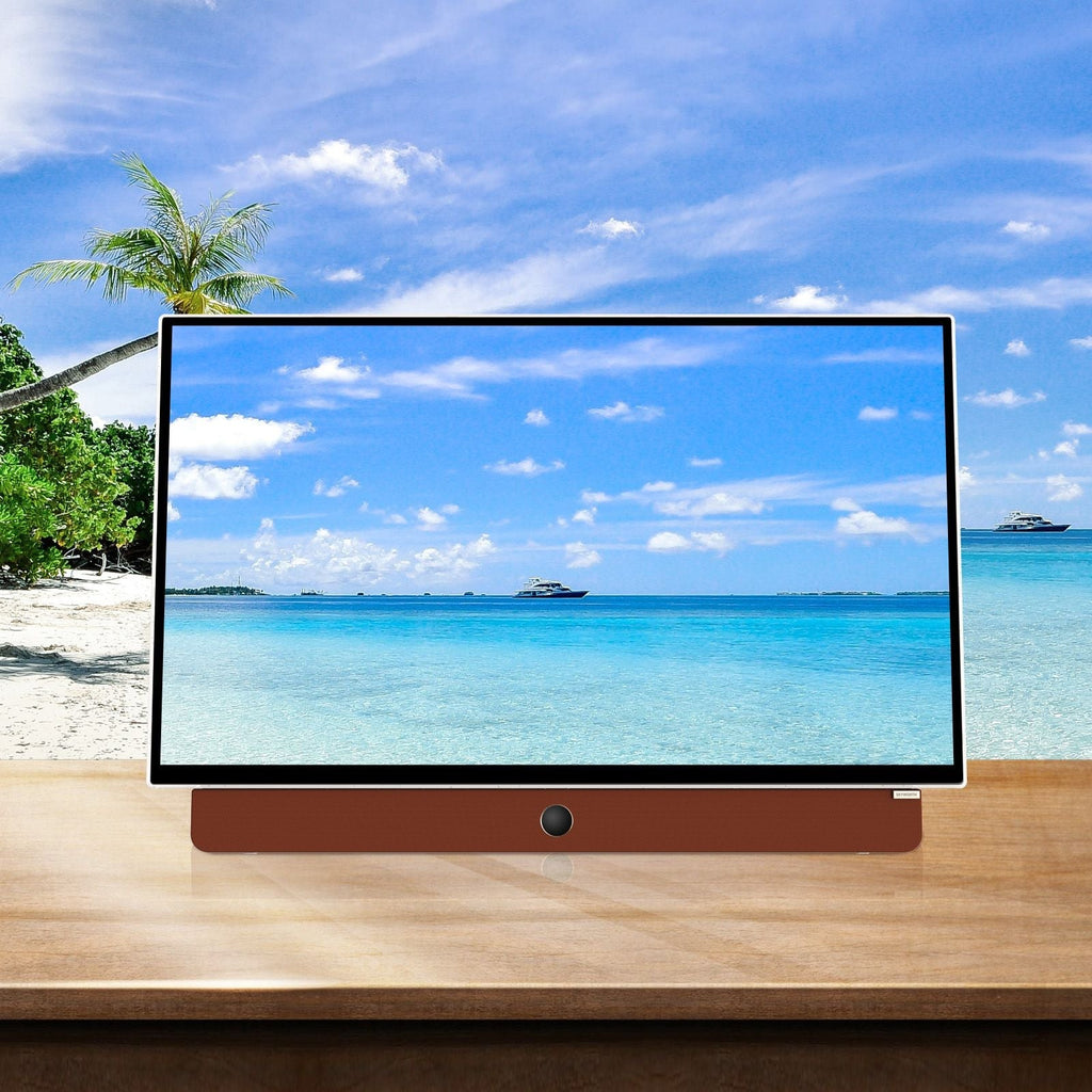 Skyworth 24" 12V Portable Full HD Smart Google TV