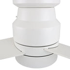 RAIDEN 52 inch 3-Blade Flush Mount Smart Ceiling Fan with LED Light & Smart Wall Switch