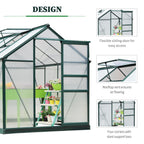 BloomGreen 6' x 8' x 6.6' Polycarbonate Greenhouse with Aluminum Frame, Green