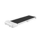 WalkingPad C1