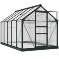 BloomGreen 6' x 10' x 6.6' Polycarbonate Greenhouse with Aluminum Frame, Grey