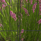 4 Pack Steel Fence Panels, 11.4' L x 43" H, Border Flower Edging for Yard, Wave