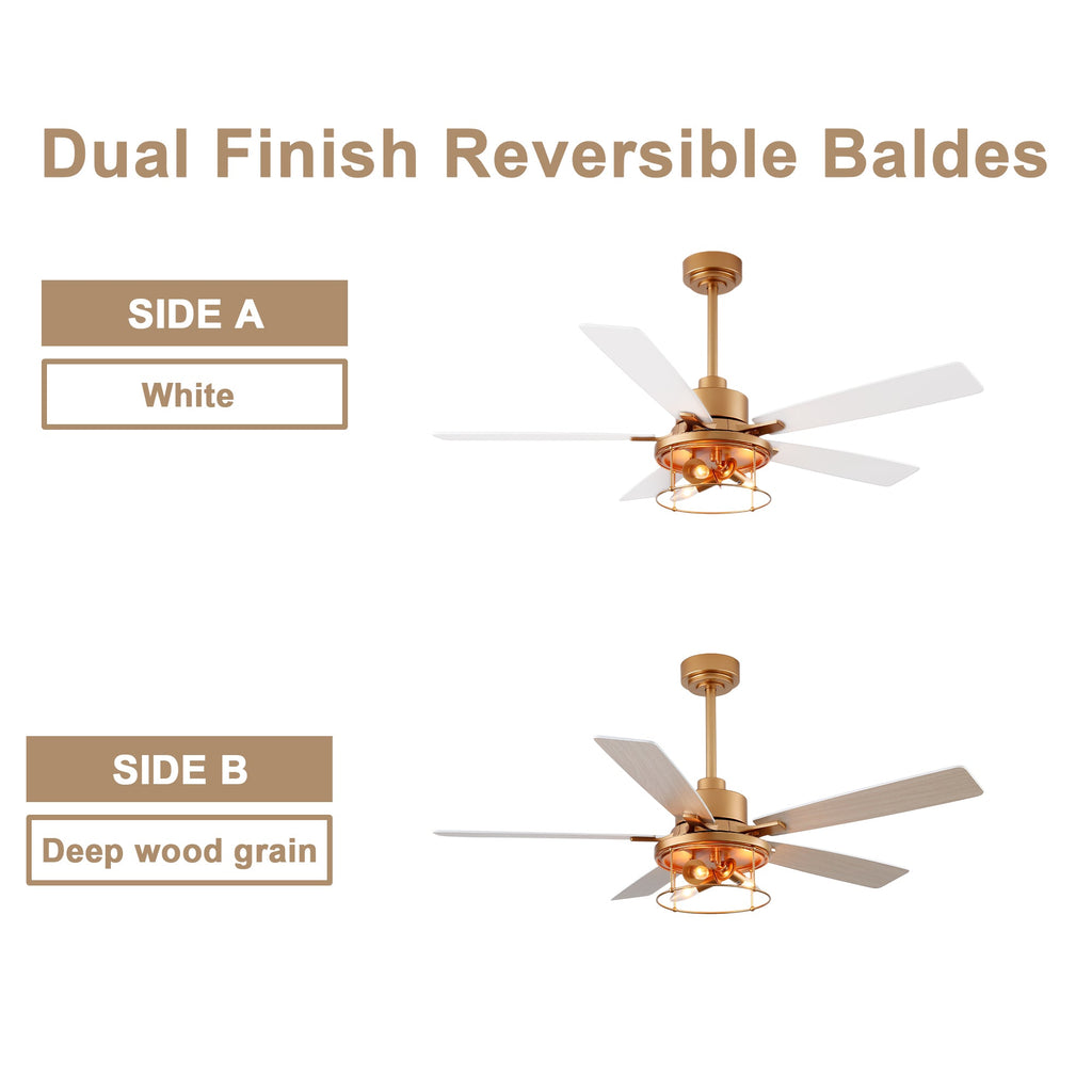 Industrial 52 Inch Gold/Black Caged Ceiling Fan with Light Quiet Reversible DC Motor with 6 Speed Remote Control Ceiling Fan 5 Blades Ceiling Fan Suit for Kitchen Bedroom Living Room