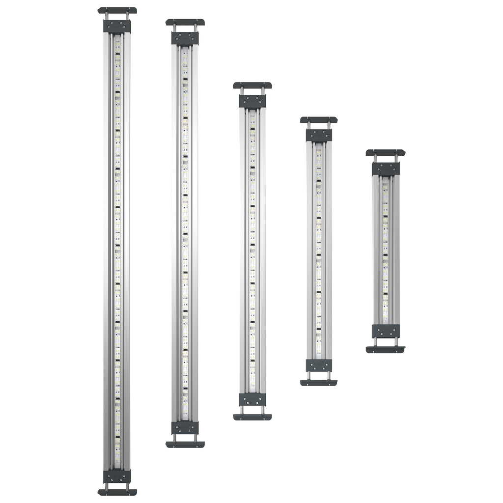Oase HighLine MotionControl Premium LED Lighting