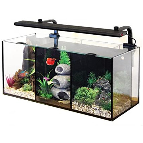Aqua One Betta Trio Aquarium - 32L with LED & Filter