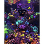 Flipper Deepsee Magnetic Aquarium Viewer: 3", 4", 5" Lens Set