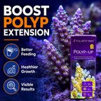 Aquaforest Polyp-Up 50ml Coral Supplement