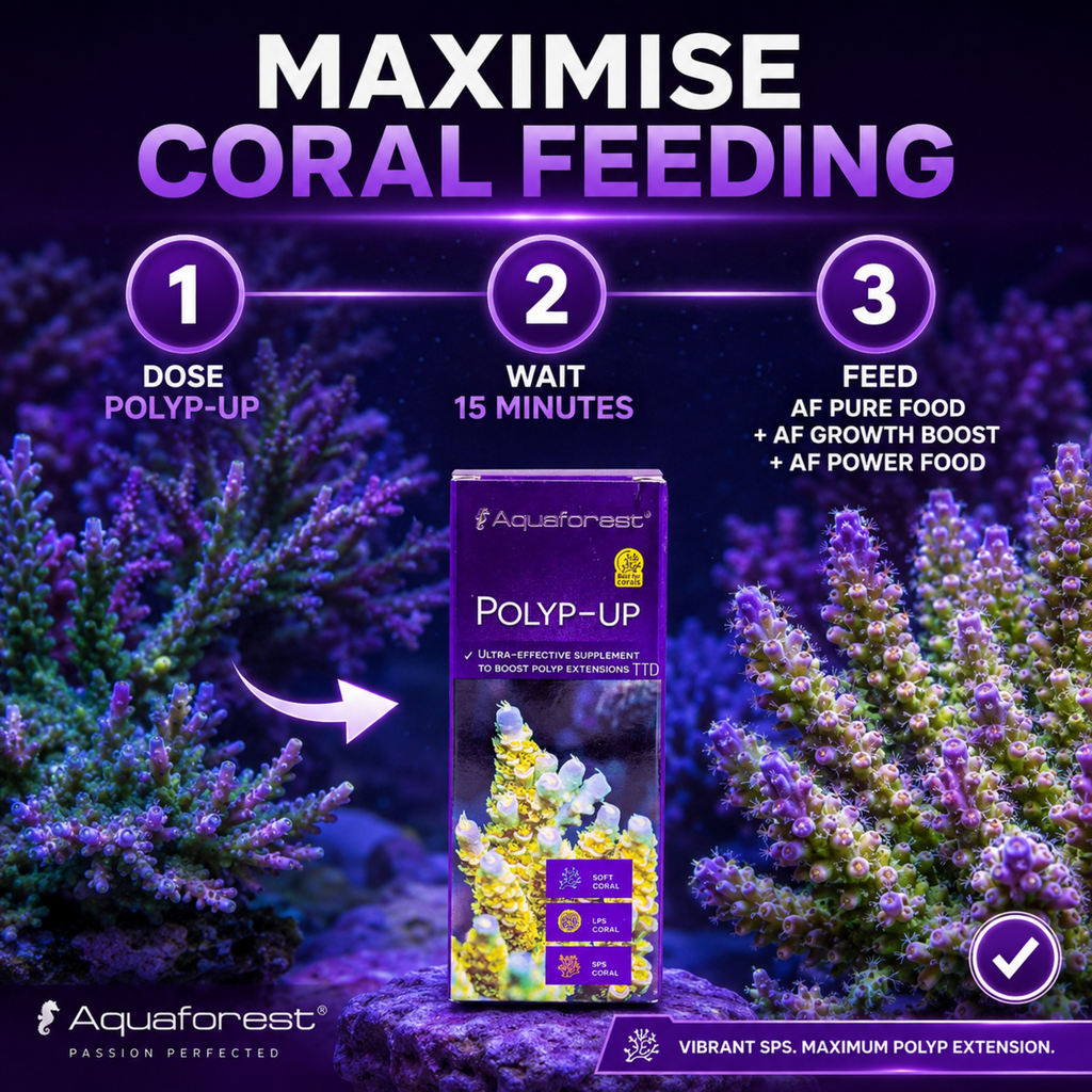 Aquaforest Polyp-Up 50ml Coral Supplement