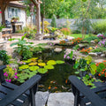 Aquascape Medium Pond Kit 11' x 16' With 3-pl 3000 Pond Pump