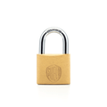 Shield Brass Padlock - Nothing But Padlocks