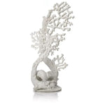 biOrb Fan Coral Ornament White Medium