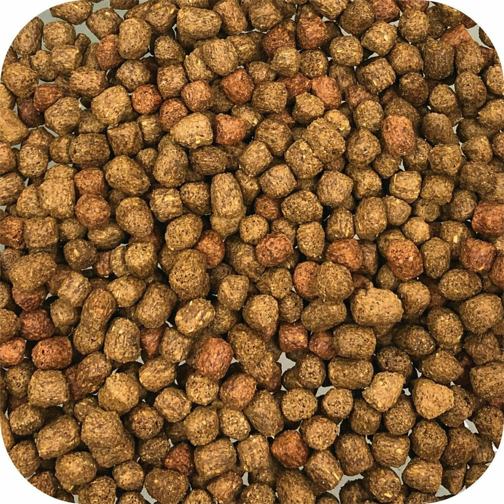 Microbe-Lift Legacy Big Bites Koi & Goldfish Food - 6lb