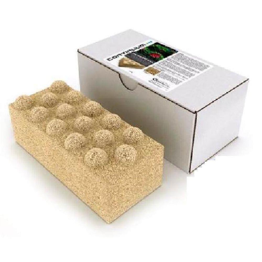 Brightwell/Continuum Xport Bio Brick Filter Media