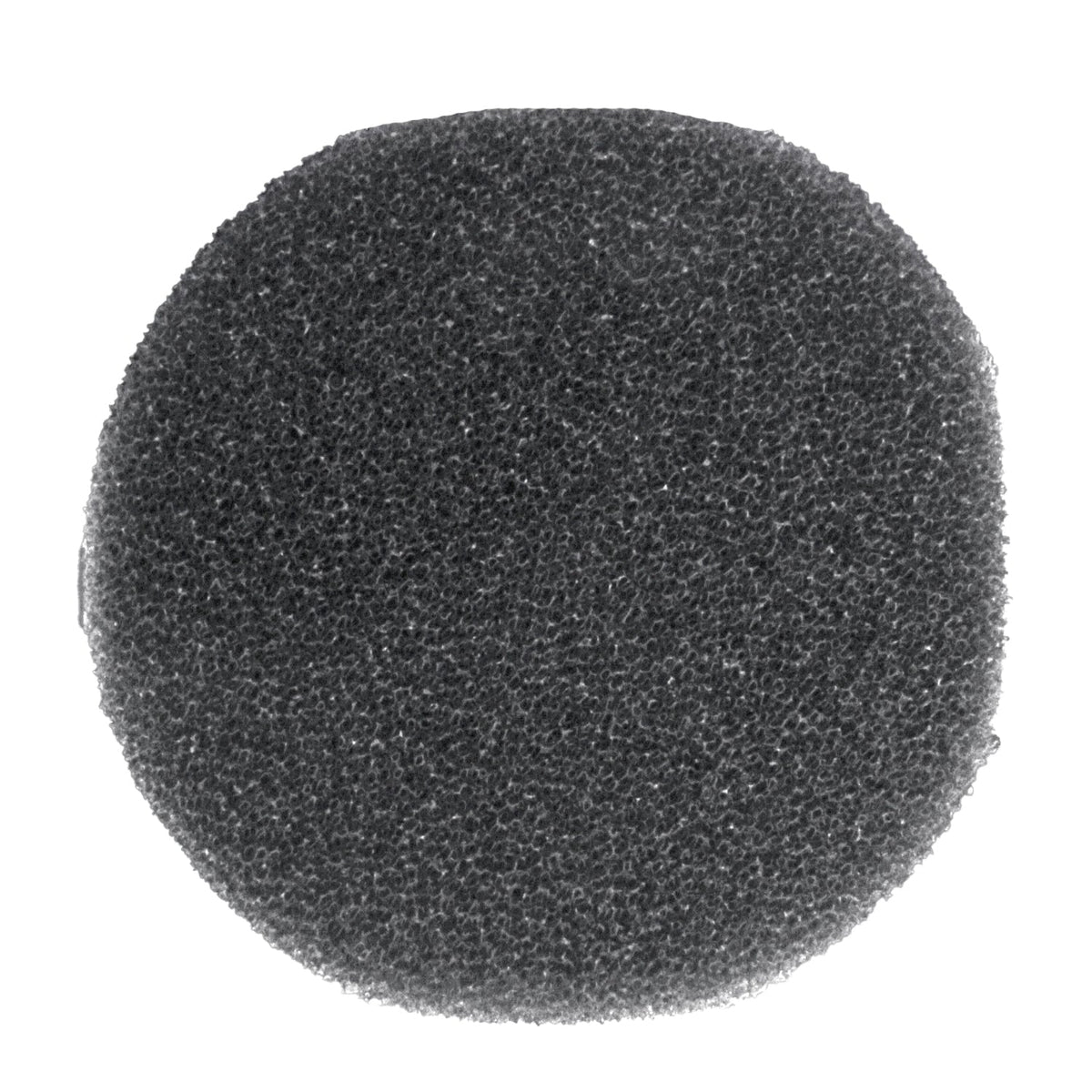 FC Bermuda Skimmer Foam 180mm dia x 10mm